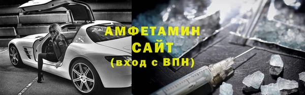 индика Белокуриха