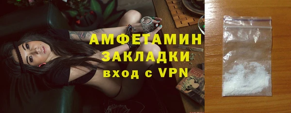 дмт Богданович