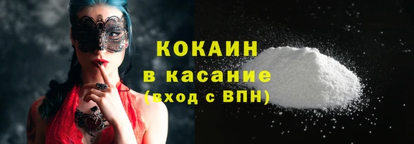 дмт Богданович
