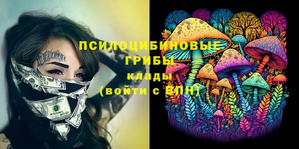 индика Беломорск