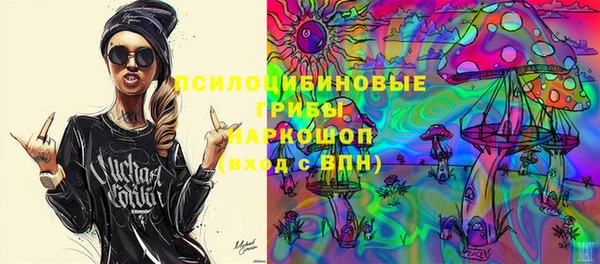 индика Беломорск