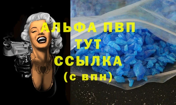 дмт Богданович
