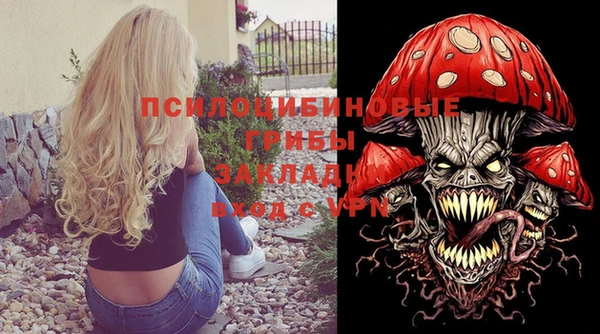 дмт Богданович