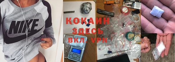 дмт Богданович