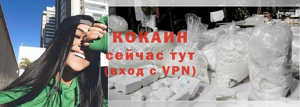 дмт Богданович