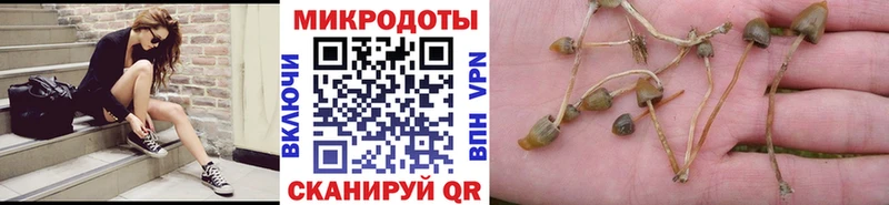 Псилоцибиновые грибы MAGIC MUSHROOMS Городец