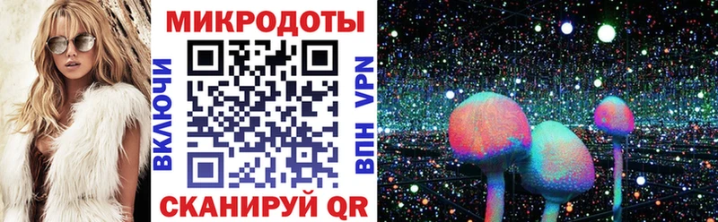 Галлюциногенные грибы Psilocybine cubensis  Городец 