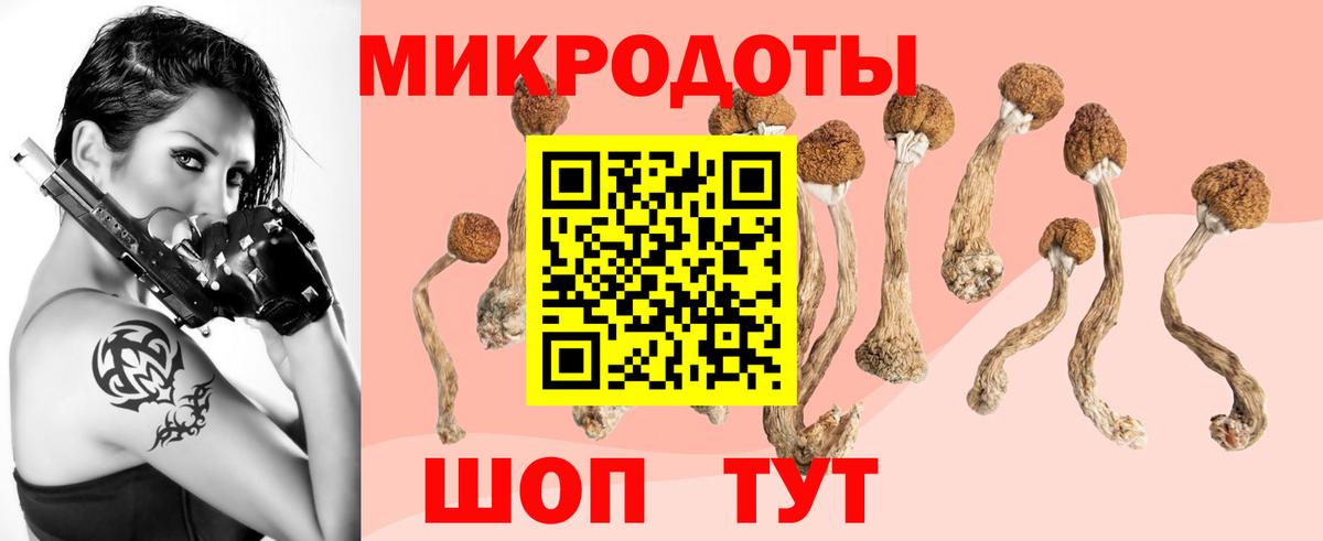 Галлюциногенные грибы мицелий Городец